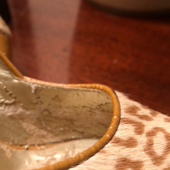 Massimo Baldi - Picture 4 of 5